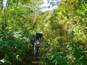 ���J��1-5�^ORR