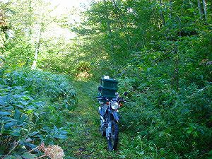 ���J��2-2�^ORR