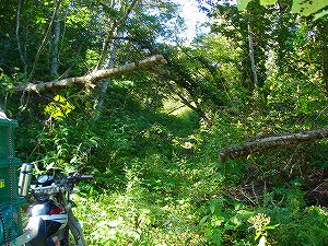 ���J��2-5�^ORR