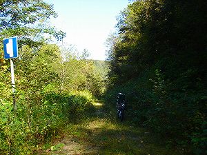 ���J��2-6�^ORR