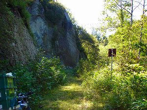 ���J��2-7�^ORR