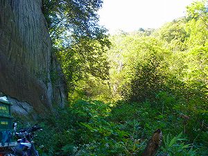 ���J��3-1�^ORR