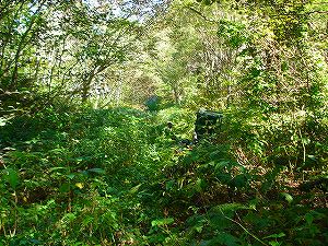 ���J��3-4�^ORR