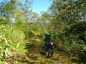 ���J��4-1�^ORR