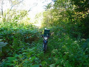 ���J��4-2�^ORR