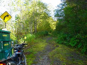 ���J��4-3�^ORR