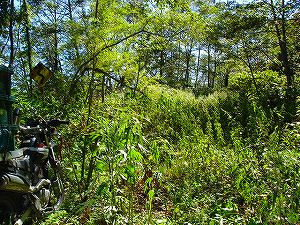 ���J��4-5�^ORR