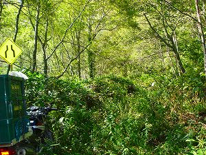 ���J��5-1�^ORR