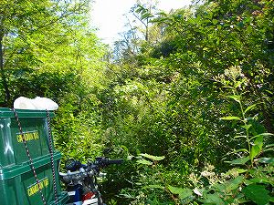 ���J��5-3�^ORR