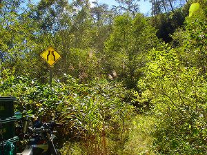 ���J��5-4�^ORR