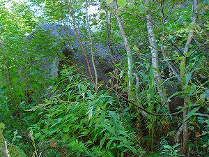 ���J��5-7�^ORR