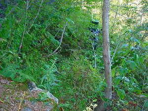 ���J��6-1�^ORR