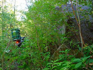 ���J��6-2�^ORR