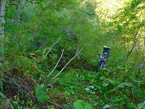 ���J��6-3�^ORR