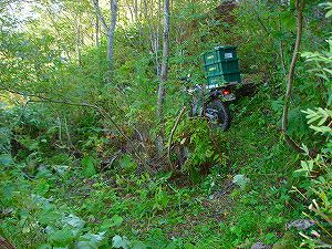 ���J��6-4�^ORR