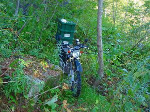 ���J��6-5�^ORR