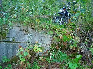 ���J��6-6�^ORR