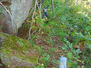 ���J��6-7�^ORR