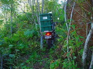 ���J��7-2�^ORR