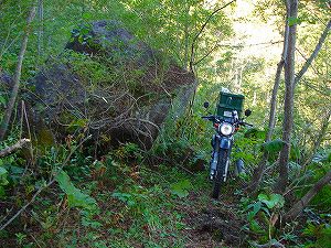 ���J��7-3�^ORR