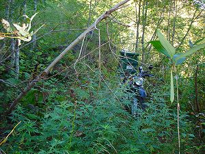 ���J��7-5�^ORR