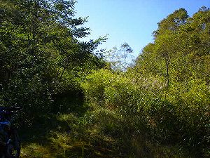 ���J��7-6�^ORR