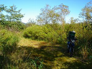 ���J��8-1�^ORR