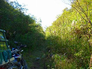 ���J��8-2�^ORR