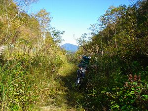 ���J��8-3�^ORR