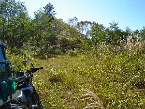 ���J��8-4�^ORR