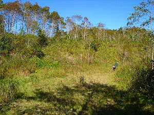 ���J��8-5�^ORR