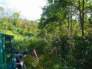 ���J��8-6�^ORR