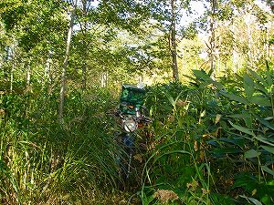 ���J��8-7�^ORR