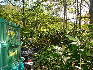 ���J��9-1�^ORR