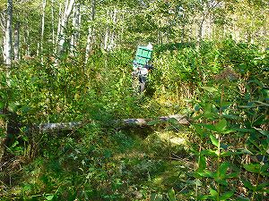 ���J��9-2�^ORR