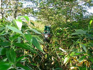 ���J��9-3�^ORR