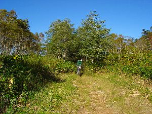 ���J��9-4�^ORR