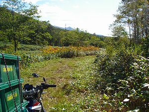 ���J��9-5�^ORR