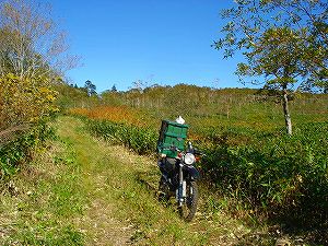 ���J��9-6�^ORR