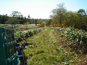 ���J��9-7�^ORR