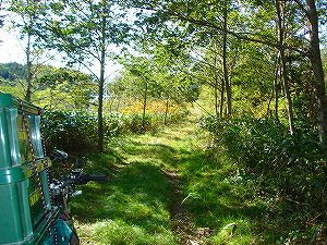 ���J��10-1�^ORR