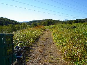 ���J��10-2�^ORR