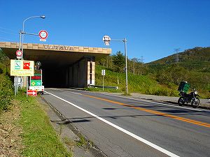 ���J��10-6�^ORR