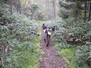 �k�C�����P�R�U���[���V����5