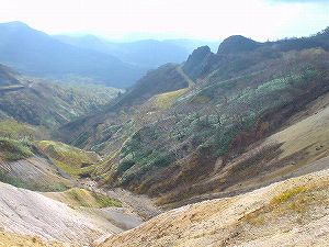 �I���t����