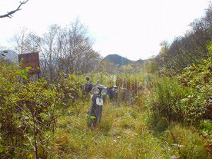 �I���t����