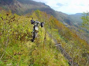 �I���t����