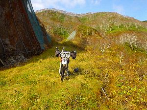 �I���t����