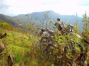 �I���t����