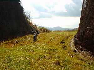 �I���t����